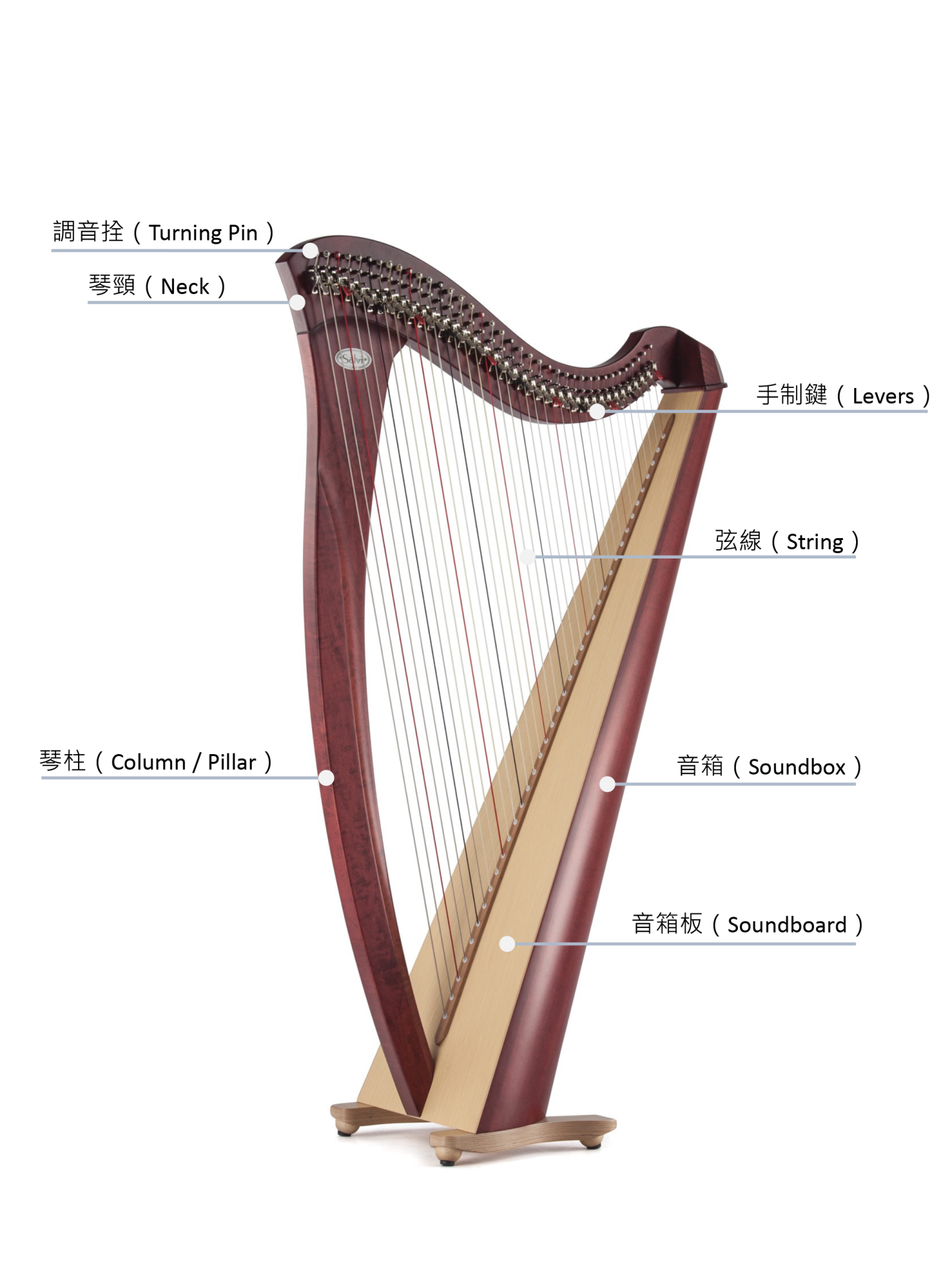 簡介Lever Harp (手制式豎琴)的主要結構 - Hong Kong Harp Centre